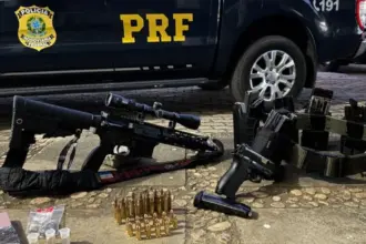 Polícia apreende fuzil e pistola com 273 munições na BR-116