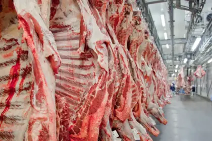 Exportação de carne brasileira cresce 16,4% em janeiro, revela Abrafrigo
