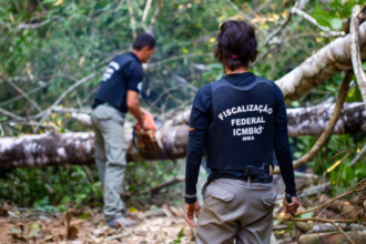 Desmatamento e Violência: Como a Fiscalização Pode Interromper o Ciclo
