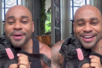 Cachorro Pepeto: A Verdade Surpreendente da Língua Para Fora!