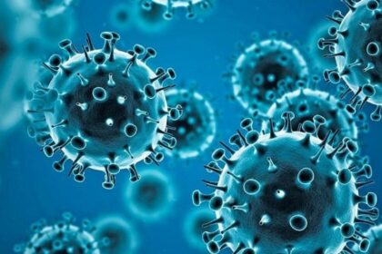 Nova variante da Covid-19 espalha-se por 32 países e gera alerta global