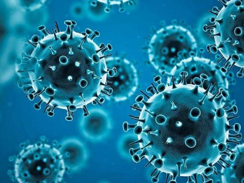 Nova variante da Covid-19 espalha-se por 32 países e gera alerta global