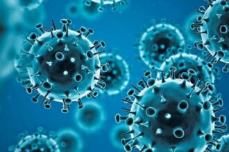 Nova variante da Covid-19 espalha-se por 32 países: o que você precisa saber