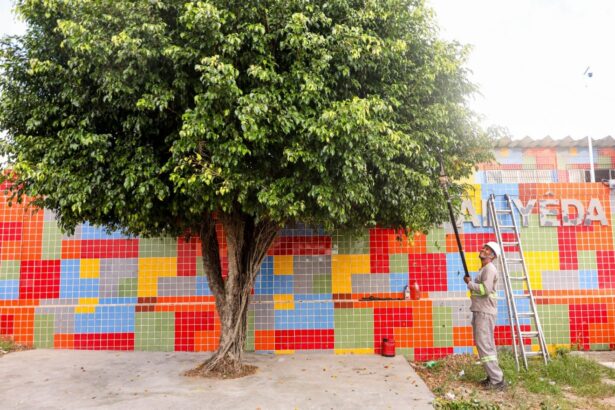 Projeto “SEMAN nos bairros” reforça ações na Urbis 1 com mutirão de serviços