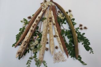 Planta Comum no Brasil: Semente Revela Potencial na Remoção de Microplásticos da Água