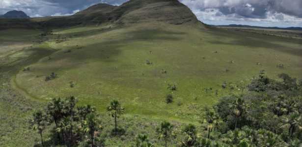Estudo Revela que Áreas Úmidas do Cerrado Armazenam Mais Carbono do que Florestas Amazônicas