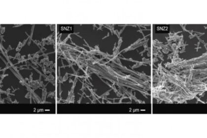 Pesquisadores Utilizam Material Cerâmico Cristalino para Degradação de Corantes e Inativação de Bactérias