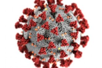 Pesquisa Revela Sintomas Neuropsiquiátricos e Mecanismos Biológicos da COVID Longa