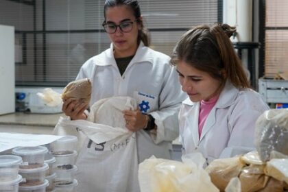 Projeto para Medir Estoque de Carbono no Brasil: A Iniciativa que Contará com Dados Precisos