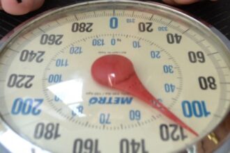 Unicamp Recebe Escola São Paulo de Ciência Avançada em Obesidade: Aprendizados e Pesquisas