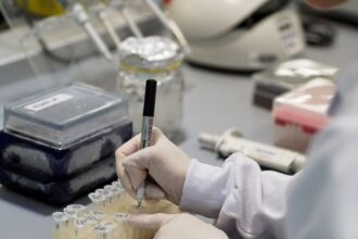 Resultados do Projeto Inicial da FAPESP: Trabalhos Selecionados e Destaques