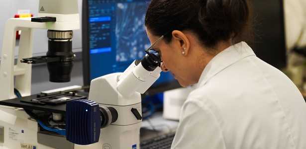 FAPESP Estabelece Sete Eixos Estratégicos para Pesquisa 2026-2028