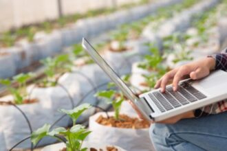 Fatores Cruciais para Impulsionar a Agricultura 4.0 no Brasil: Novos Insights de Pesquisa