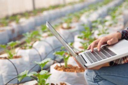 Fatores Cruciais para Impulsionar a Agricultura 4.0 no Brasil: Novos Insights de Pesquisa