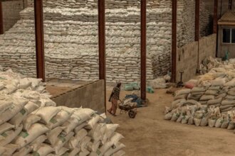 Guerra no Oriente Médio: Ameaça à Alimentação Global e Fome Mundial