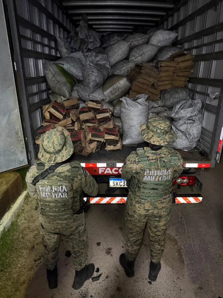 Polícia apreende cerca de 7 toneladas de carvão vegeta