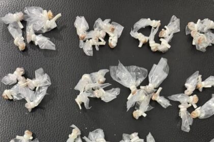 Polícia captura crack e K9 em Monte Gordo, Camaçari