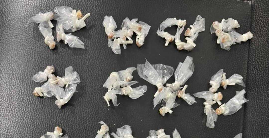 Polícia captura crack e K9 em Monte Gordo, Camaçari