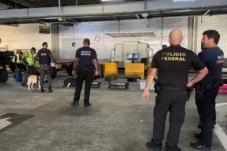 Polícia intensifica fiscalização no Aeroporto de Salvador contra tráfico de armas