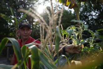 Fundo Amazônia investe R$ 53 milhões em regulação fundiária na Amazônia