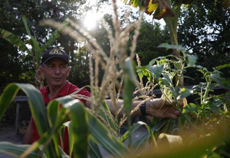 Fundo Amazônia investe R$ 53 milhões em regulação fundiária na Amazônia