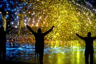 Brasil brilha nos Jogos Paralímpicos de Inverno 2026 com recorde de atletas