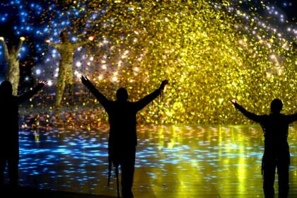 Brasil brilha nos Jogos Paralímpicos de Inverno 2026 com recorde de atletas