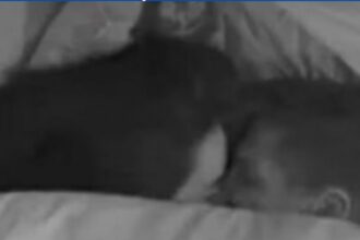 Jordana e Jonas: Segredos do Edredom que Surpreendem!