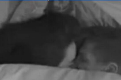 Jordana e Jonas: Segredos do Edredom que Surpreendem!