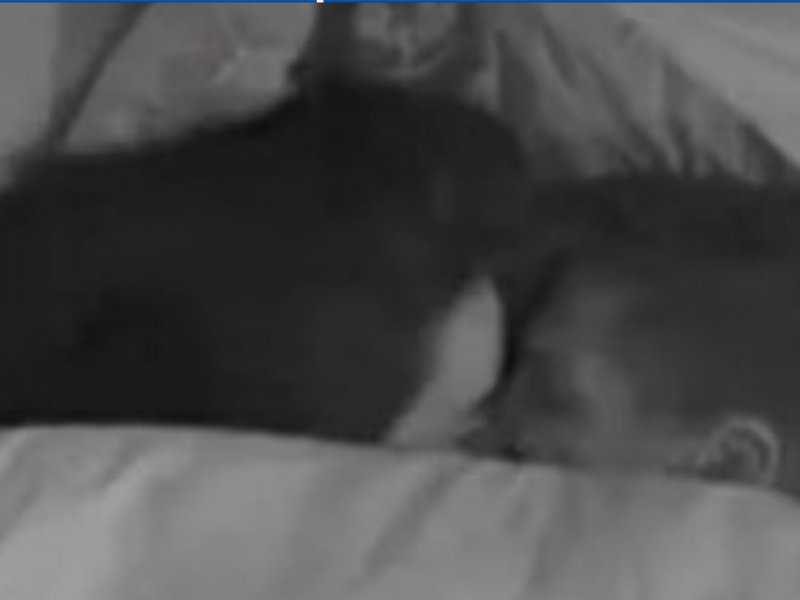 Jordana e Jonas: Segredos do Edredom que Surpreendem!