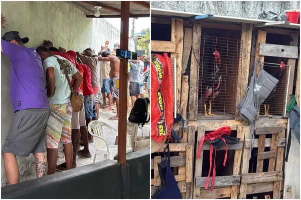 Polícia desmantela rinha de galos e apreende R$ 150 mil em Salvador