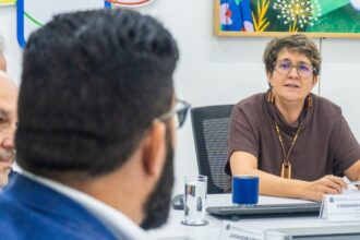 Ministério da Saúde intensifica parceria para transição de insulinas no SUS