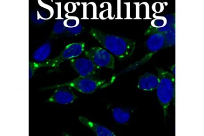 CNPEM Revela Novos Avanços na Compreensão de Transtornos do Neurodesenvolvimento