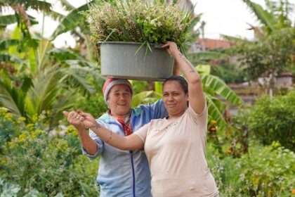 Ampliação do Repertório da Saúde Pública: Promovendo Cuidados Plurais e Inclusivos