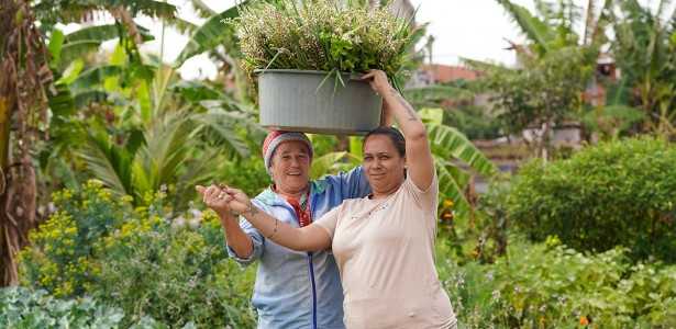 Ampliação do Repertório da Saúde Pública: Promovendo Cuidados Plurais e Inclusivos