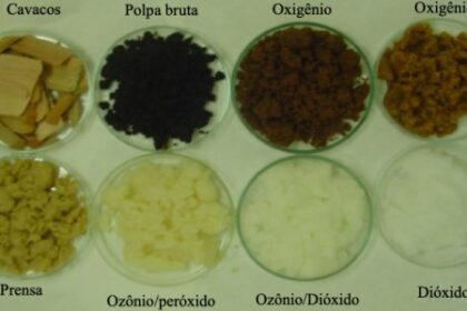 Enzima Fúngica Como Alternativa Ecológica aos Produtos Químicos na Indústria de Papel