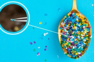 Garanta Sua Vaga: Inscrições Abertas até Sexta-feira para a Escola São Paulo de Ciência Avançada em Microplásticos