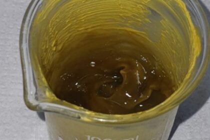 Resíduo de Lúpulo da Cerveja Se Torna Ingrediente Inovador em Protetores Solares