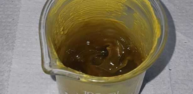 Resíduo de Lúpulo da Cerveja Se Torna Ingrediente Inovador em Protetores Solares