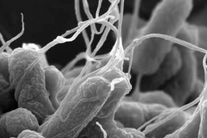 Chamada para Apoiar Colaborações Científicas na América do Sul sobre Resistência Antimicrobiana