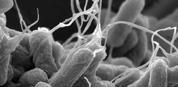 Chamada para Apoiar Colaborações Científicas na América do Sul sobre Resistência Antimicrobiana