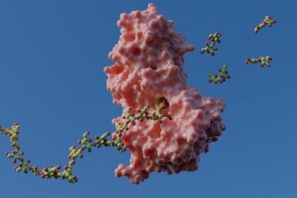 Como Mecanismos Enzimáticos Potencializam Tecnologias Sustentáveis em Bioenergia