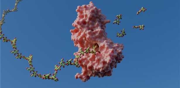 Como Mecanismos Enzimáticos Potencializam Tecnologias Sustentáveis em Bioenergia