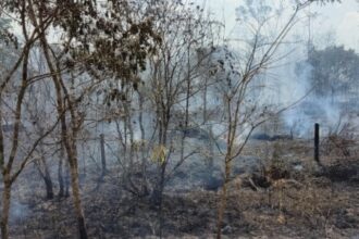 Pesquisas Revelam Secas Prolongadas e Alterações nas Chuvas da Amazônia