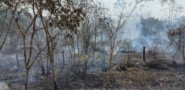 Pesquisas Revelam Secas Prolongadas e Alterações nas Chuvas da Amazônia