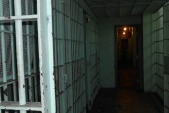 Núcleo de Estudos da Violência Apresenta Ferramenta de Dados sobre Encarceramento em São Paulo