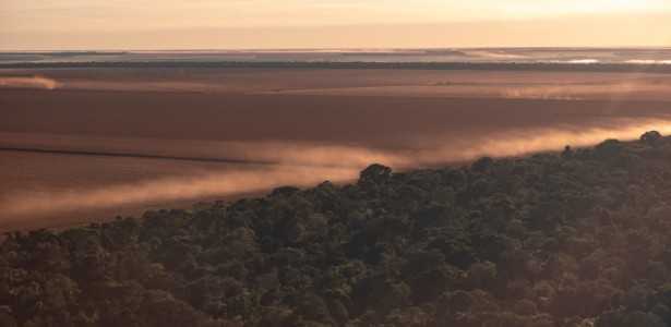 Impactos de Incêndios, Secas e Tempestades na Diversidade da Vegetação da Amazônia
