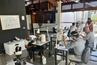 Centro Gemológico da Bahia leva Curso Itinerante de Lapidação à Juazeiro