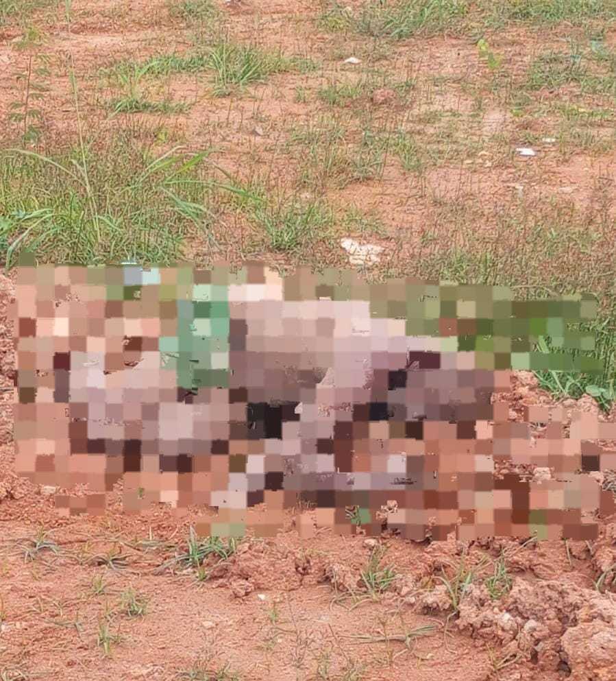 Homem é encontrado morto com membros fraturados em Barra do Pojuca