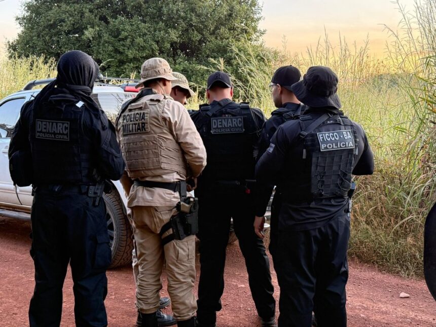 Polícia encontra 50 mil pés de maconha em operação no oeste da Bahia